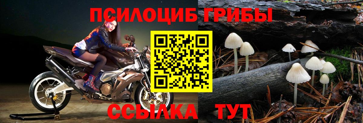 Псилоцибиновые грибы GOLDEN TEACHER Липецк